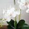 Nearly Natural; 2ft. Orchid Arrangement in Decorative Ceramic Vase; Category:Tabletop Floral Arrangements; Image:8